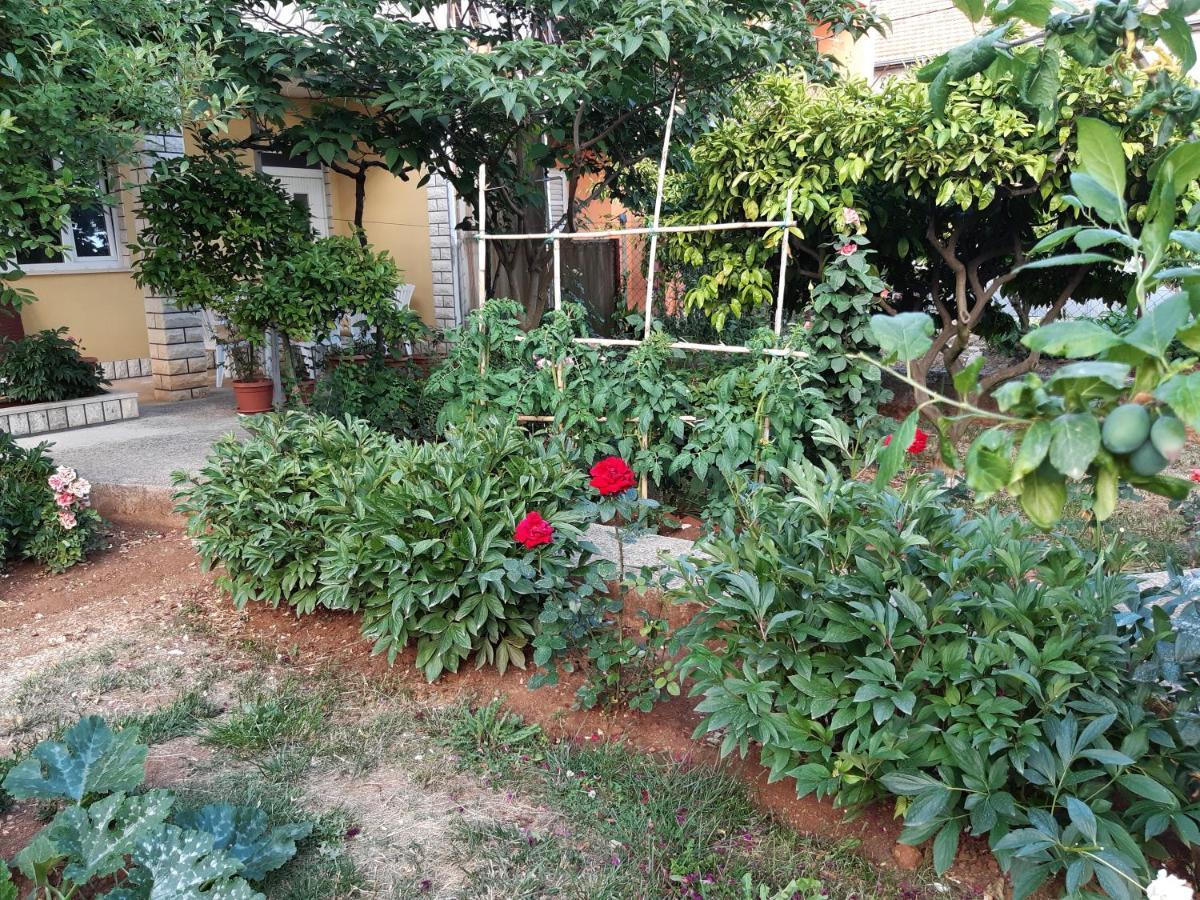 Apartment Jardin With Free Cowered Parking ザダル エクステリア 写真