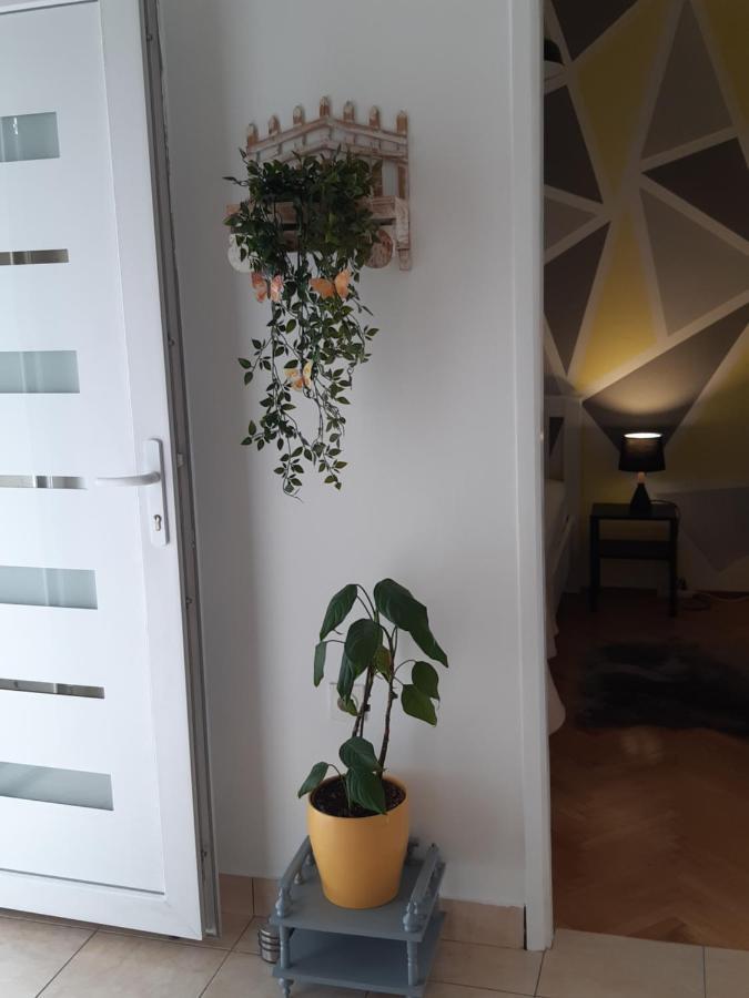 Apartment Jardin With Free Cowered Parking ザダル エクステリア 写真