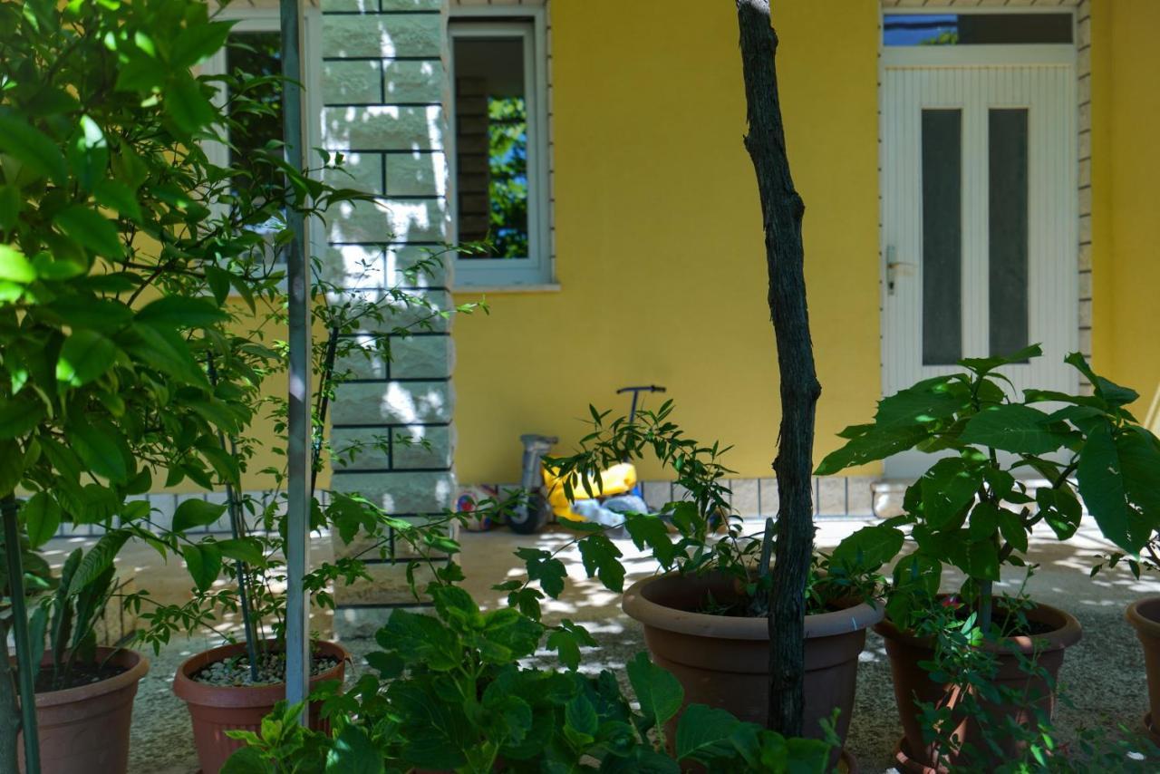 Apartment Jardin With Free Cowered Parking ザダル エクステリア 写真